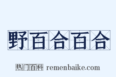 野百合百合是什么意思的图片